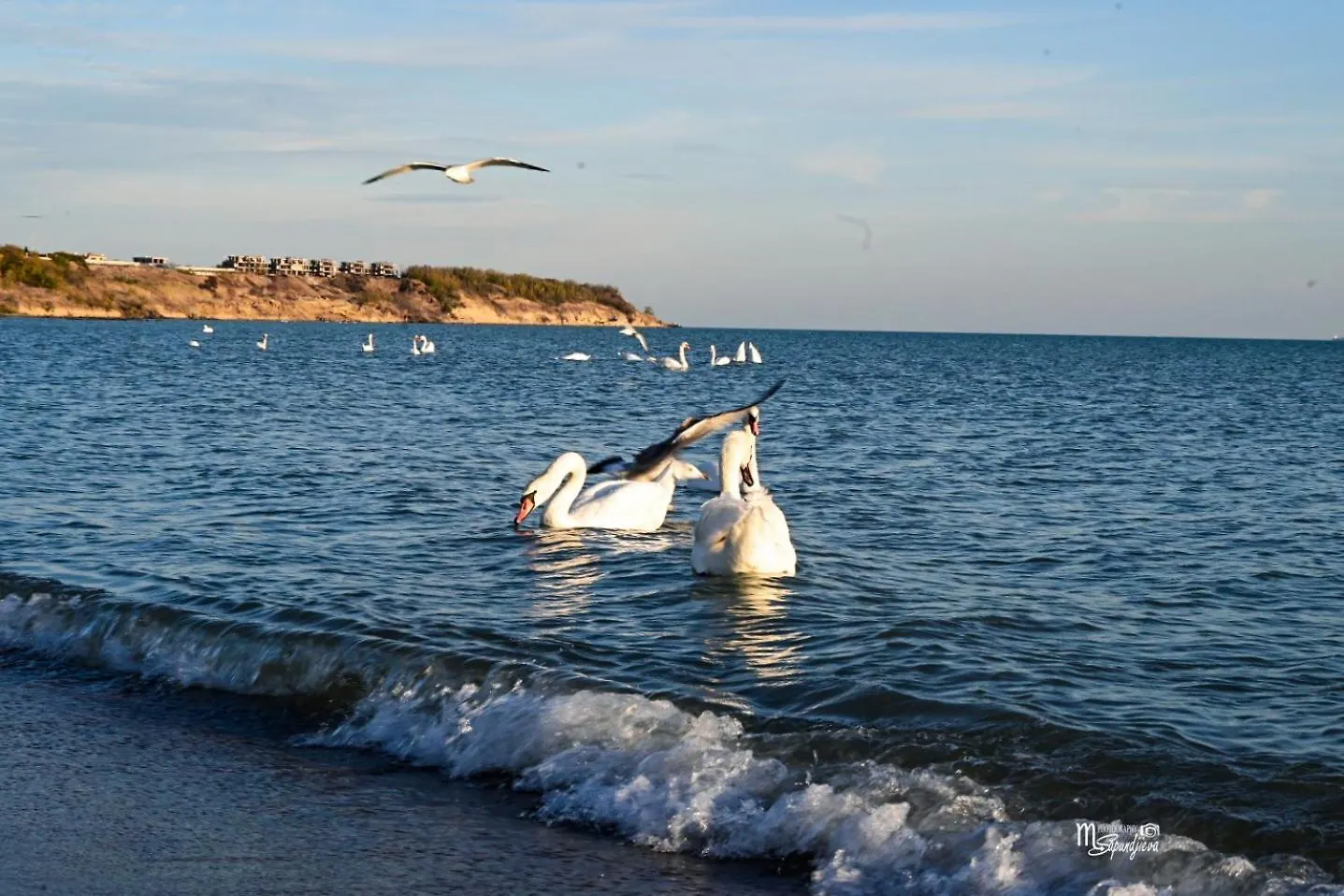 Апартамент Зара Burgas City
